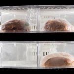 Dacor DRZ24980LAP Freezer — repair service