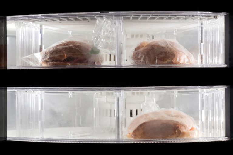 Dacor DRZ24980LAP Freezer — specifications and repair